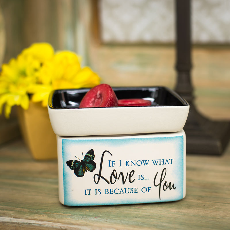 Love You Blue Butterfly Electric 2 in 1 Jar Candle Wax Tart Oil Warmer