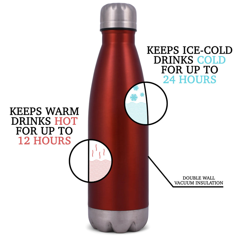 Elanze Designs Sister You're Awesome Red 17 ounce Stainless Steel Sports Water Bottle