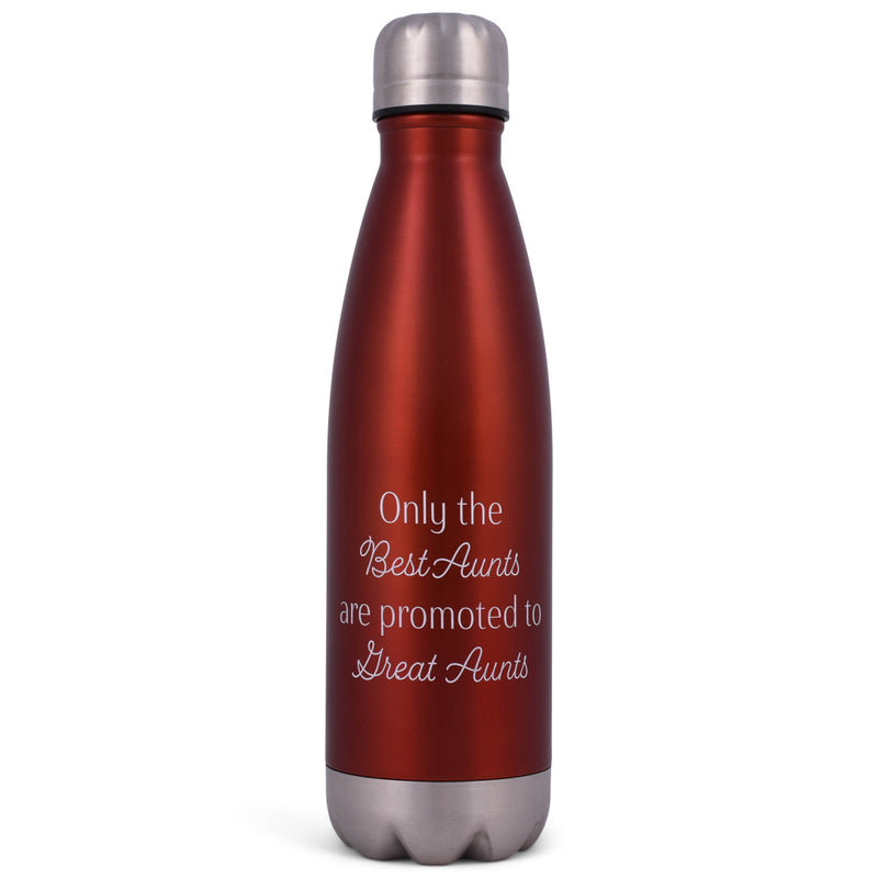 Elanze Designs Best Aunts Great Aunts Red 17 ounce Stainless Steel Sports Water Bottle